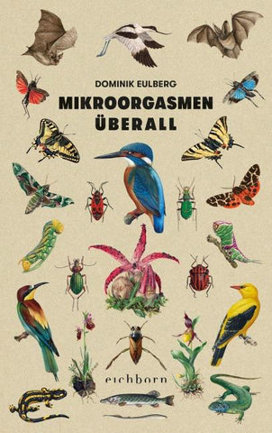 Mikroorgasmen überall