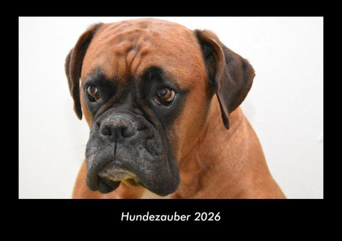 Hundezauber 2026 Fotokalender DIN A3
