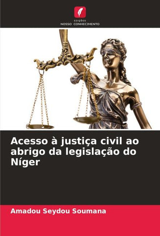 Acesso à justiça civil ao abrigo da legislação do Níger