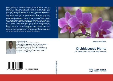 Orchidaceous Plants