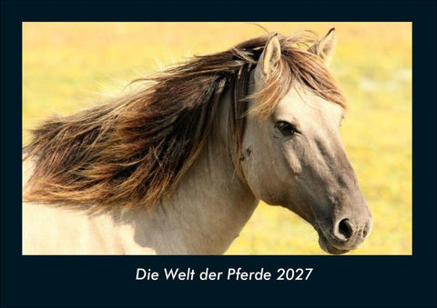 Die Welt der Pferde 2027 Fotokalender DIN A4