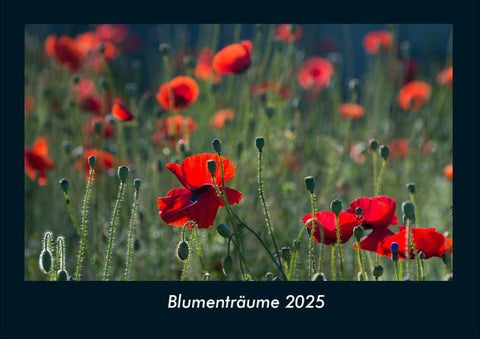 Blumenträume 2025 Fotokalender DIN A4