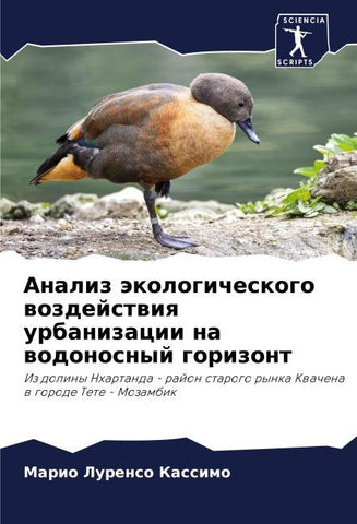 Analiz äkologicheskogo wozdejstwiq urbanizacii na wodonosnyj gorizont