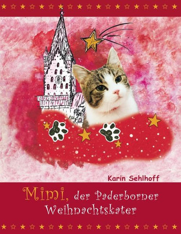 Mimi, der Paderborner Weihnachtskater