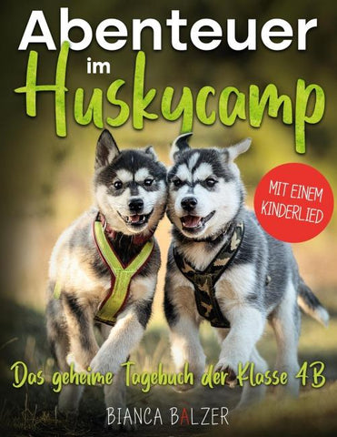 Das geheime Tagebuch der Klasse 4 B - Buch 2