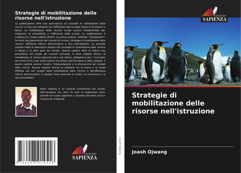 Strategie di mobilitazione delle risorse nell'istruzione