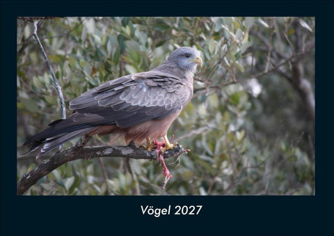 Vögel 2027 Fotokalender DIN A4