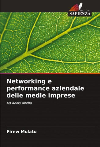 Networking e performance aziendale delle medie imprese