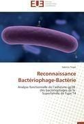 Reconnaissance Bactériophage-Bactérie