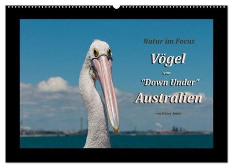 Vögel von "Down Under" Australien (Wandkalender 2026 DIN A2 quer), CALVENDO Monatskalender