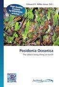 Posidonia Oceanica