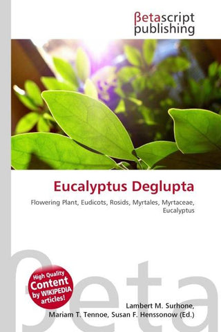 Eucalyptus Deglupta