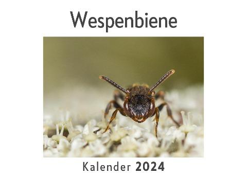 Wespenbiene (Wandkalender 2024, Kalender DIN A4 quer, Monatskalender im Querformat mit Kalendarium, Das perfekte Geschenk)