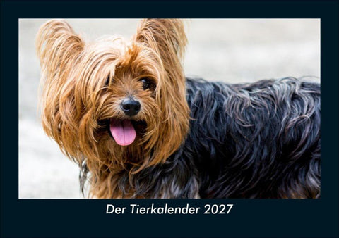 Der Tierkalender 2027 Fotokalender DIN A5