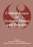 Critical Issues in Systems Theory and Practice