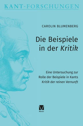 Die Beispiele in der Kritik