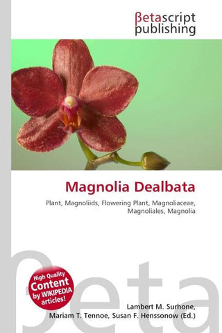 Magnolia Dealbata
