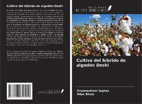 Cultivo del híbrido de algodón Deshi