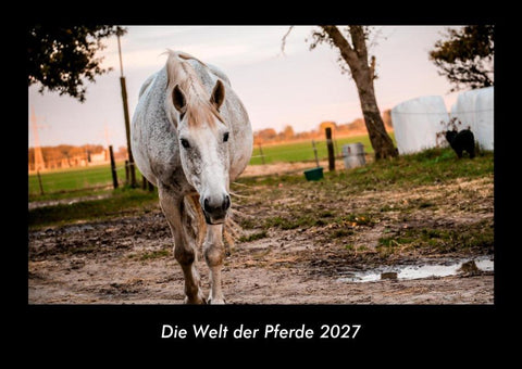 Die Welt der Pferde 2027 Fotokalender DIN A3