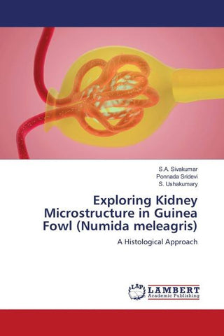 Exploring Kidney Microstructure in Guinea Fowl (Numida meleagris)