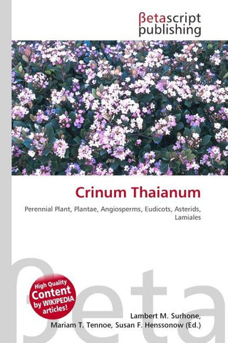 Crinum Thaianum