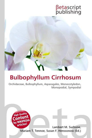 Bulbophyllum Cirrhosum