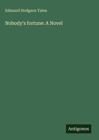 Nobody's fortune: A Novel