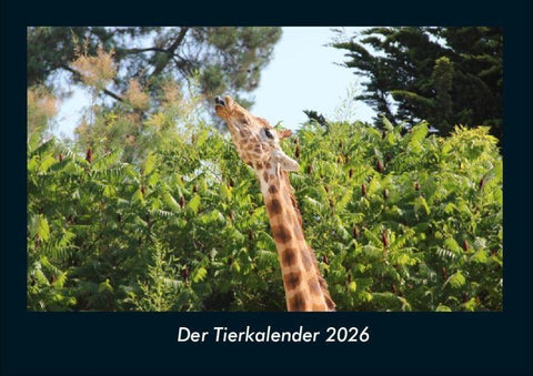 Der Tierkalender 2026 Fotokalender DIN A4