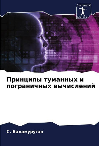 Principy tumannyh i pogranichnyh wychislenij