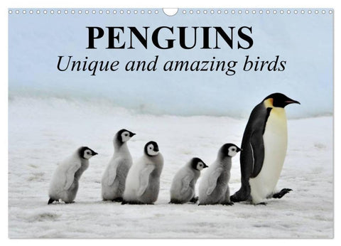Penguins Unique and amazing birds (Wall Calendar 2026 DIN A3 landscape), CALVENDO 12 Month Wall Calendar