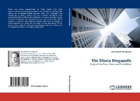 The Silesia Megapolis