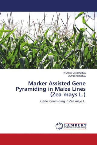 Marker Assisted Gene Pyramiding in Maize Lines (Zea mays L.)