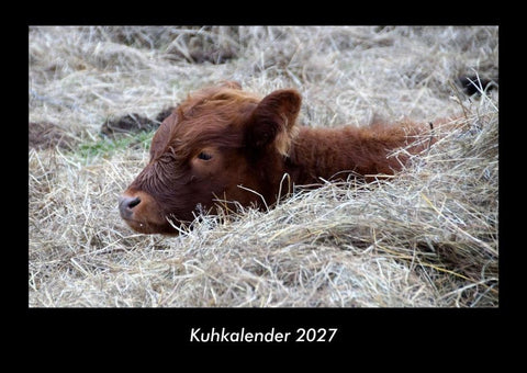 Kuhkalender 2027 Fotokalender DIN A3