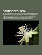 Echte Eidechsen