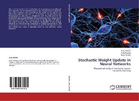 Stochastic Weight Update in Neural Networks
