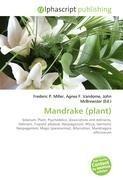 Mandrake (plant)