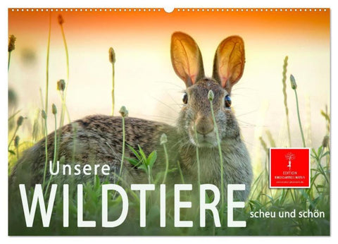 Unsere Wildtiere - scheu und schön (Wandkalender 2026 DIN A2 quer), CALVENDO Monatskalender