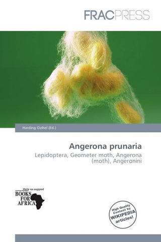 Angerona prunaria