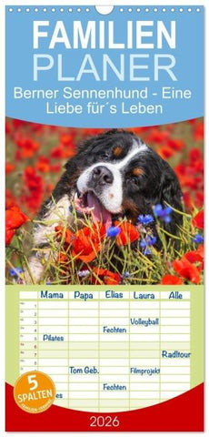 Familienplaner 2026 - Berner Sennenhund - Eine Liebe für´s Leben mit 5 Spalten (Wandkalender, 21 x 45 cm) CALVENDO