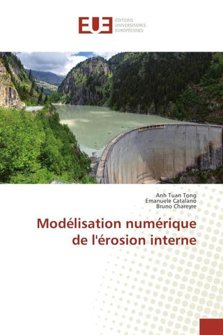 Modélisation numérique de l'érosion interne