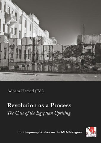 Revolution as a Process