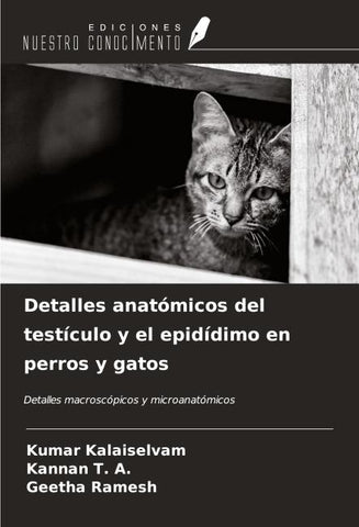 Detalles anatómicos del testículo y el epidídimo en perros y gatos