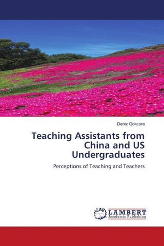 Teaching Assistants from China and US Undergraduates