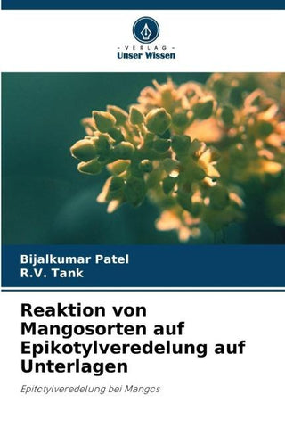 Reaktion von Mangosorten auf Epikotylveredelung auf Unterlagen