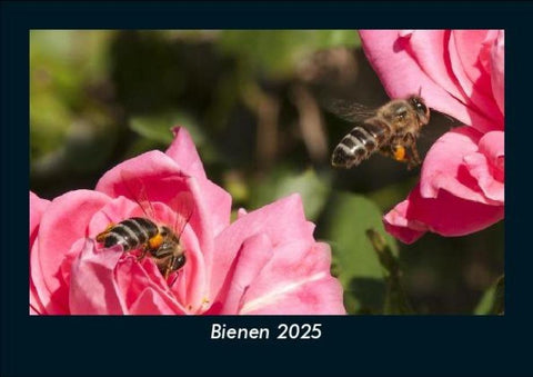 Bienen 2025 Fotokalender DIN A5