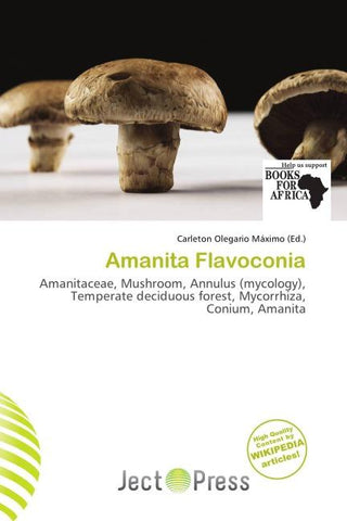Amanita Flavoconia