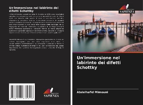 Un'immersione nel labirinto dei difetti Schottky