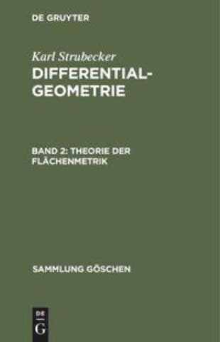 Theorie der Flächenmetrik
