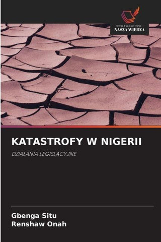 KATASTROFY W NIGERII