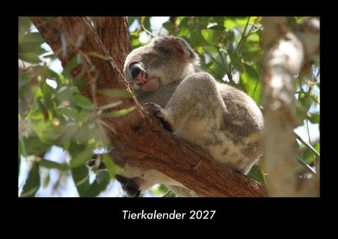 Tierkalender 2027 Fotokalender DIN A3